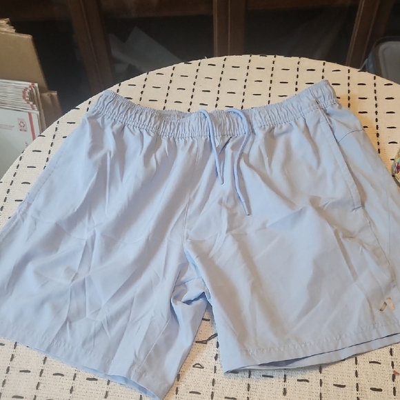 Al1ve Other - Al1ve Men's Light Blue Athletic Shorts